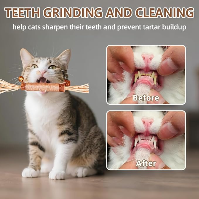 Natural Dried Matatabi Cat Chew Stick with Gall Fruit, Raffia Grass & Bell Cat Ball Toys, Handmade Silvervine Sticks Interactive Catnip Toys for Teething & Entertainment (Size L Color A)