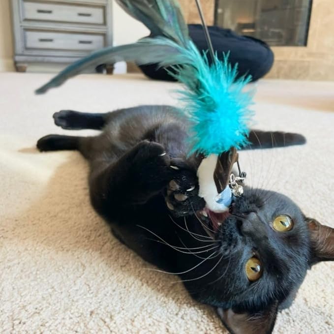 Cat Toys Set Cat Fishing Pole Retractable Wand Suction Cup & Hanging Teaser Wand for Indoor Cats & Kittens Feather Attachments Ribbon