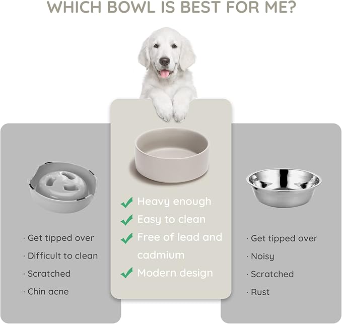 SPUNKYJUNKY 28.7OZ Ceramic Dog and Cat Bowl, Modern Cute Weighted Food Water Bowl for Replacement Grey (1 Pack)