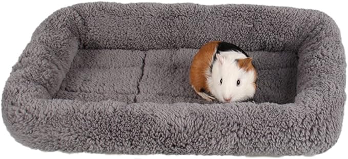 Enjoying Cat Mat Bed 10" x 15" Pet Bed with Pillow Around for Puppy Kitten Curled Sleeping Beds for Carrier/Crate Small Dog Cushion, Anti Skid Bottom, Small