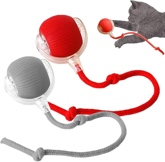 New Interactive Rolling Dog Ball, 360° Smart Interactive Pet Toy Ball, Self Rolling Dog Ball Toys, Electric Balls for Small Medium Dogs Cats (Red&Grey 2PCS/Set)