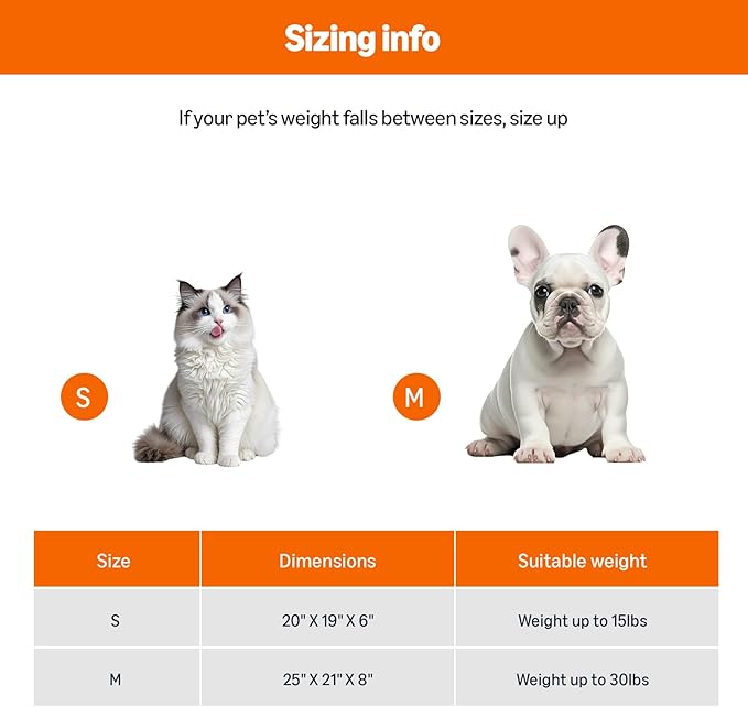 Amazon Basics Round Dog Bed for Medium Dogs, Cat Beds for Indoor Cats, Washable Pet Bed with Soft Plush Cushion, Anti-Slip Bottom, 25x21x8 Inches, Gray