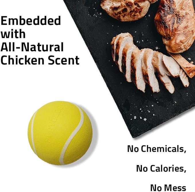 Playology Dog Toys | Squeaky Chew Ball - Squeaky and Bouncy Durable Floating Fetch Ball for Dogs | Medium Chicken Scented Toy - Easy to Clean and Made from Non Toxic Materials