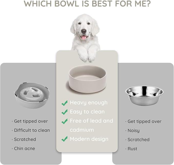 SPUNKYJUNKY 13.5OZ Ceramic Dog and Cat Bowl, Modern Cute Weighted Food Water Bowl for Replacement Grey (2 Pack)