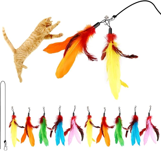 11PCS Cat Feather Toys Refills, 10PCS Feathers and 1PC String, Interactive Cat Wand Toy Replacement for Bored Indoor Adult Cats & Kittens