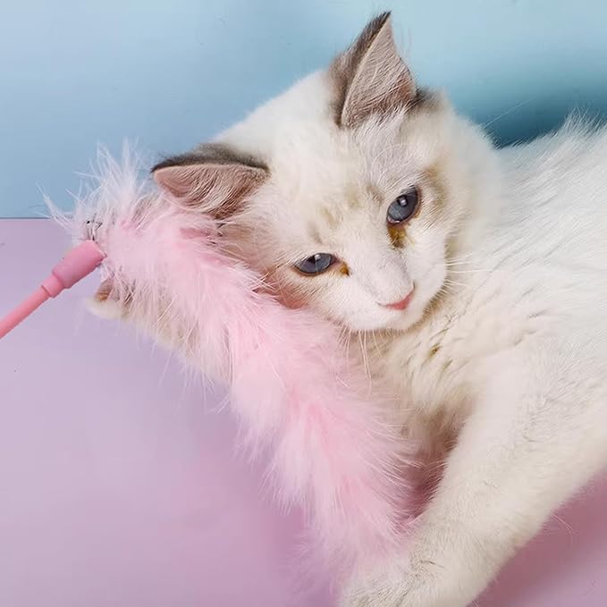 IUHKBH Cat Wand Toys, 6 PCS Interactive Cat Feather Toys Colorful Cat Teaser Wand with Bell for Cats and Kitties