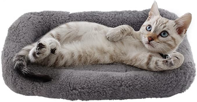 PETLESO Small Cat Bed Mat Plush Pet Cushion, 15" x 10" Cat Pad with Cozy Pillow Around for Indoor Pets, Pup Curl Sleep Self Warming Mat for Crate Carrier/Outdoor Pet Houses, Non-Slip Bottom, Small