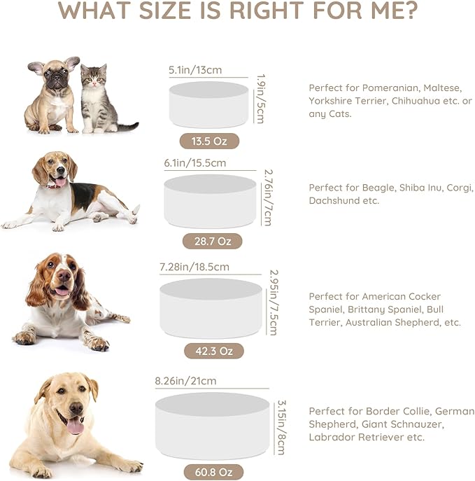 SPUNKYJUNKY 42OZ Ceramic Dog and Cat Bowl, Modern Cute Weighted Food Water Bowl for Replacement White (1 Pack)