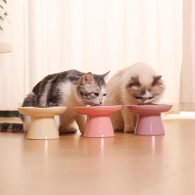 Wide Shallow 6.1" Raised Cat Bowls, Ceramic Elevated Food Plate for Flat Faced Cats and Small Dogs, Porcelain Feeder Bowl, Stress Free, Protect Cat’s Spine, Lavender
