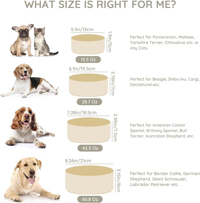 SPUNKYJUNKY 42OZ Ceramic Dog and Cat Bowl, Modern Cute Weighted Food Water Bowl for Replacement Beige (1 Pack)