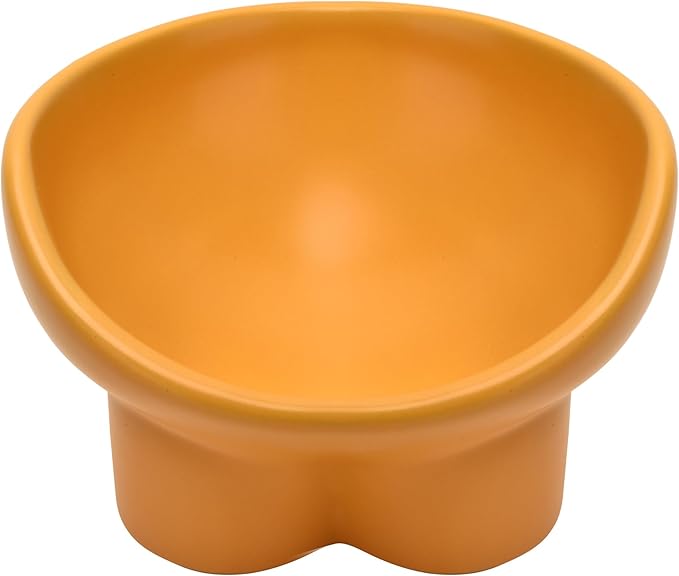 Ceramic Raised Cat Bowl,Elevated Tilted Anti Vomit Cat Bowls for Indoor Cats Whisker Friendly Pet Feeder for Food and Water,Cute Tilted Dish for Flat Faced Cats,Puppies