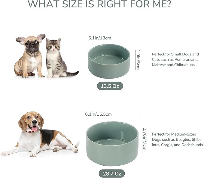 SPUNKYJUNKY 28.7OZ Ceramic Dog and Cat Bowl, Modern Cute Weighted Food Water Bowl for Replacement Morandi Green (1 Pack)
