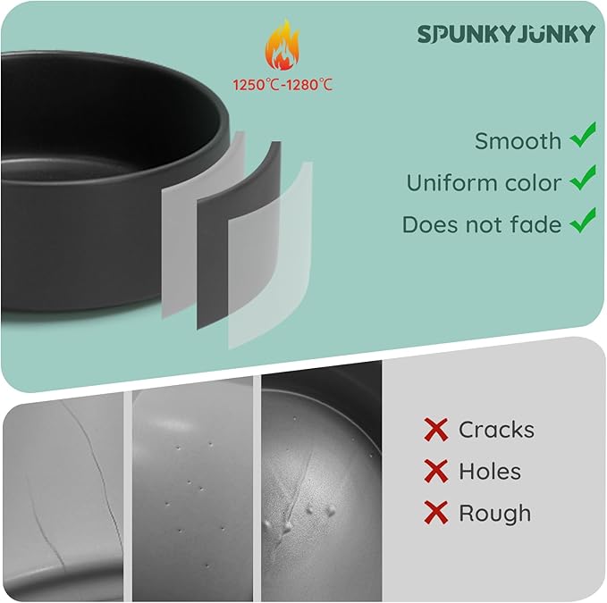 SPUNKYJUNKY 13.5OZ Ceramic Dog and Cat Bowl, Modern Cute Weighted Food Water Bowl for Replacement Black (2 Pack)