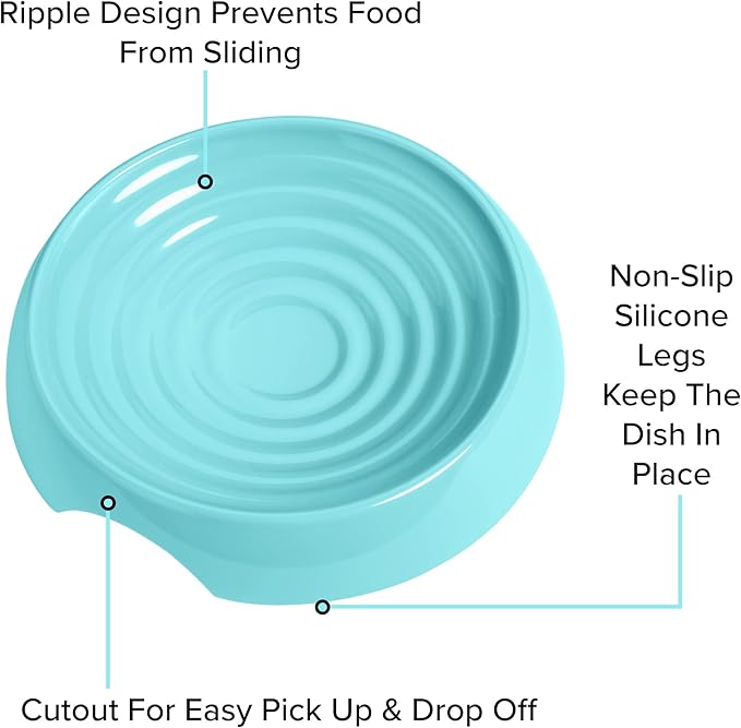 CatGuru Cat Bowls, Whisker Friendly Cat Food Bowl for Indoor Cats, Reliefs Whisker Fatigue, Wide Pet Bowl, Non Slip Pet Feeding Plate, Shallow Kitten Dish (Set of 2 Bowls, Aruba)