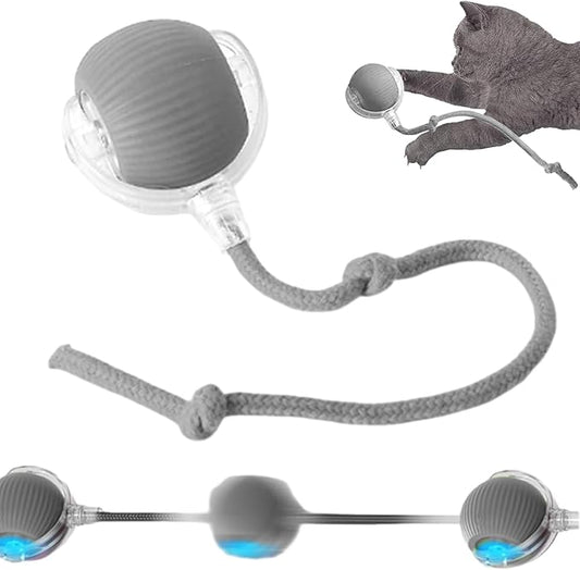 New Interactive Rolling Dog Ball, 360° Interactive Cat Toys for Indoor Cats, Electric Balls for Small Medium Dogs Cats, Grey 1pcs