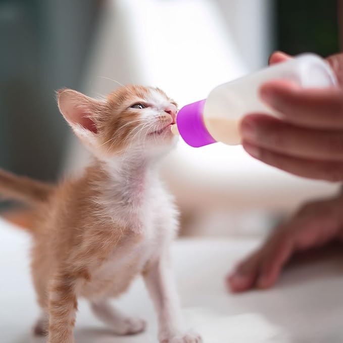 Tondiamo 16 Pieces Pet Feeding Bottle Kit Kitten Bottles Kitten Milk Replacer Puppy Milk Feeder with Replacement Nipples Puppy for Small Animals Newborn Dog and cat Nursing Supplies