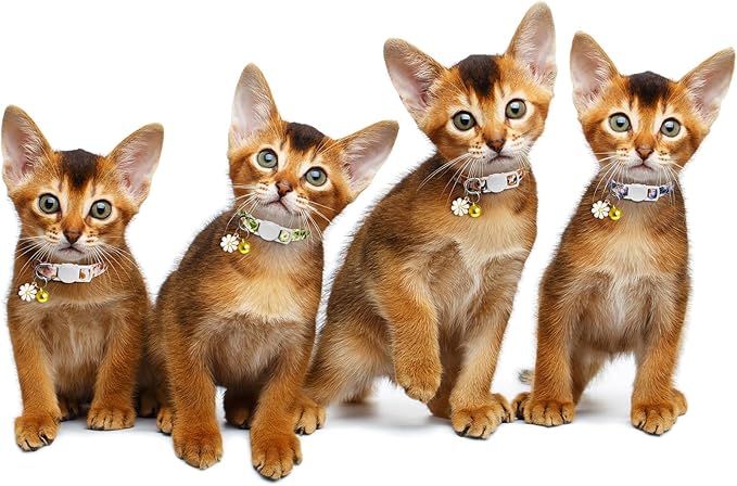 4 Pack Cotton Breakaway Cat Collar with Bell & Flowers Pendant,Cute Pet Kitten Collar for Girl Boy Cats,Pet Supplies,Stuff,Accessories,Gifts