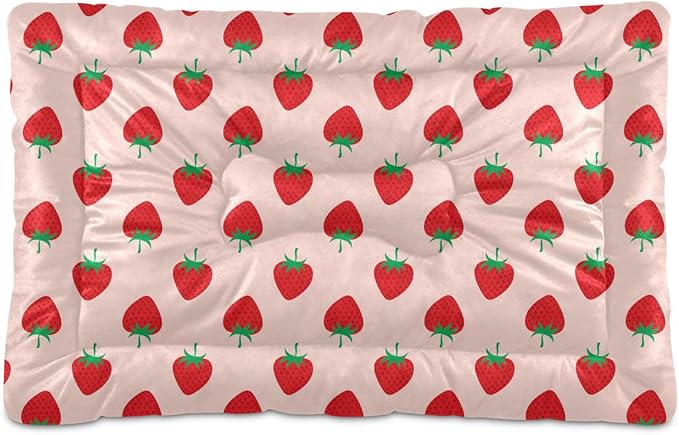 Pet Bed Strawberry Fruit Dog Bed Mat Absorbing Non Slip Pad Pet Sleeping Mat for Small, Medium, and Large Dogs Puppy Cat 24 in x 18 in