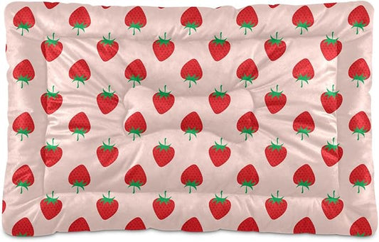 Pet Bed Strawberry Fruit Dog Bed Mat Absorbing Non Slip Pad Pet Sleeping Mat for Small, Medium, and Large Dogs Puppy Cat 36 in x 24 in