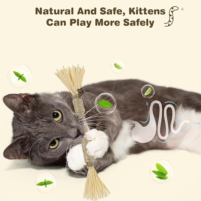 8 Pack Silvervine Sticks for Cats - Cat Chew Toy for Teeth Cleaning, Edible Matatabi Kitty Chew Sticks, Catnip Cat Toys for Indoor Cats
