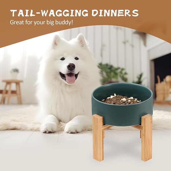 Elevated Ceramic Large Dog Bowl - Raised Dog Dish with Bamboo Stand - Heavy Weighted, No Tip Over, Comfortable Eating - 8.4" Diameter - 4.5 Cups - 68 fl oz - Green