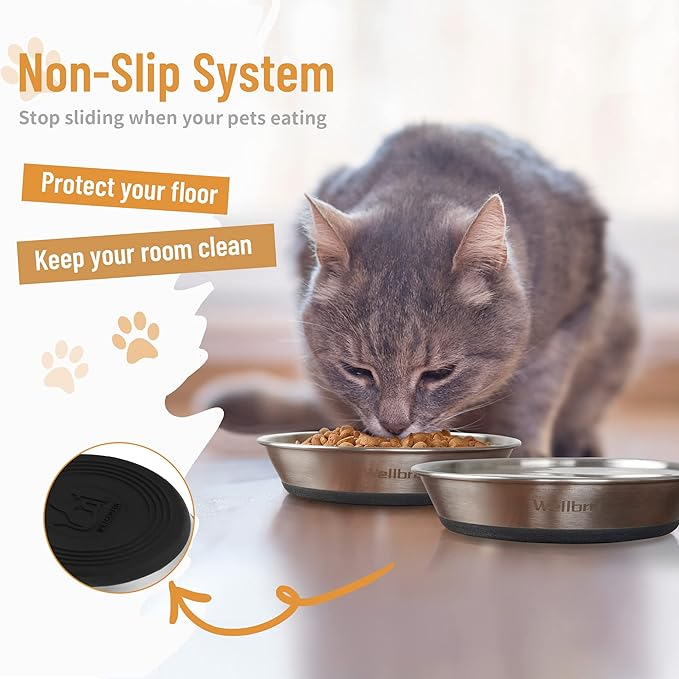Cat Bowls, 2 Pcs Stainless Steel Cat Bowls for Food and Water, Whisker Fatigue Shallow Non-Slip Dishes Plates for Small Dog Puppies Cats