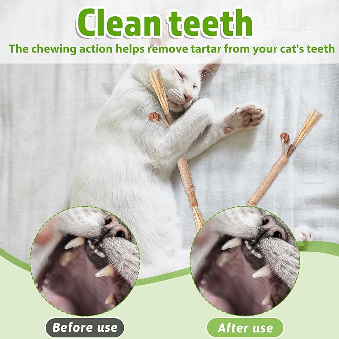 Silvervine Sticks for Cats 8 Pack Natural Cat Chew Toy Teeth Cleaning Edible Matatabi Dental Care Kitty Chew Sticks Catmint Cat Nip Treat Stick for Bored Indoor Kitty Calm Anxiety and Stress