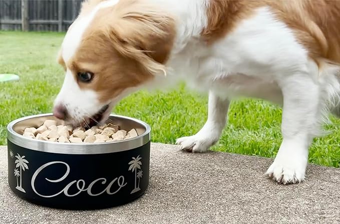 Icon and Name Dog Bowl - Engraved, Nonslip Pet Bowl, Custom, Custom Cat Bowl, Stainless Steel, Engraved Pet Bowl, Dog Feeding, Pet Supplies, Pet Food Bowl