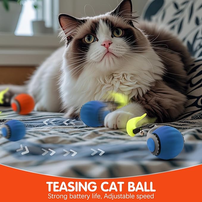 Speedy 3.0 Ball, Smart Interactive Cat Toy Balls, Automatic Rolling Ball 2.0 Enrichment Toy, with Tail Two Speed Adjustment (Orange + Blue)