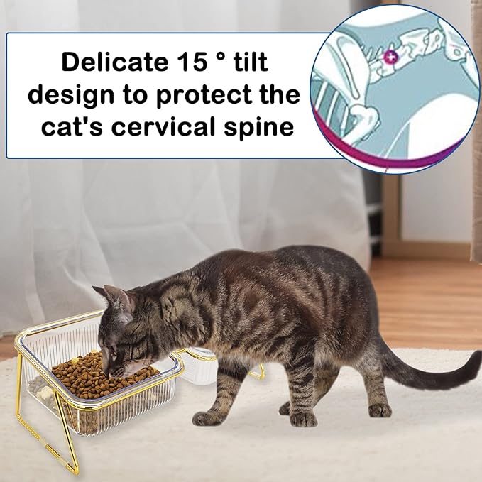 Elevated Double Cat Bowls,5.7" Pets Water and Food Bowl 15°Tilted Transparent Raised Kitten Food Feeding Dishes with Iron Stand Anti Slip Kitty Dishs Rose Gold Bowl Set for Kittiens Small Dogs