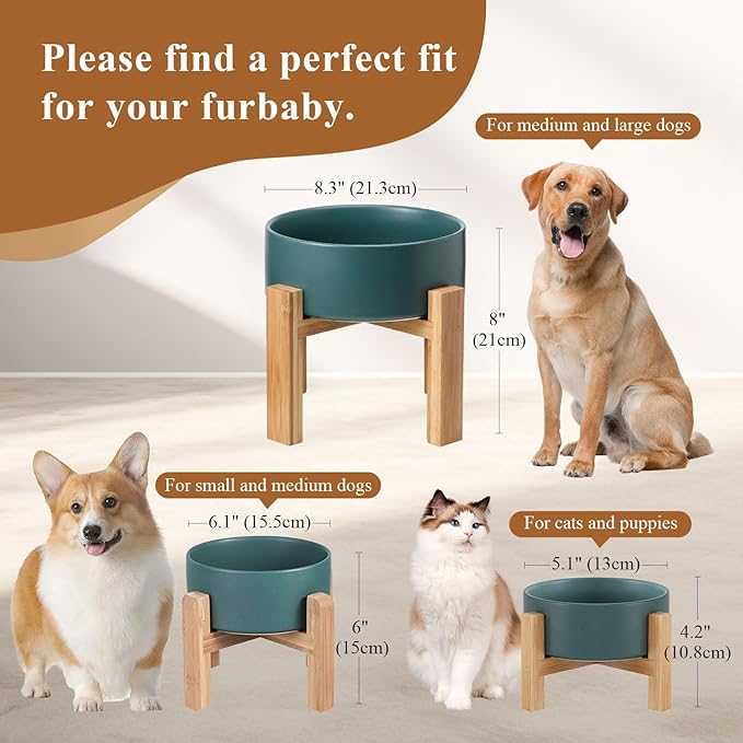 Elevated Ceramic Cat Bowl - Cat Food Bowl with Bamboo Stand - Raised Dog Dish for Puppies - Anti Vomiting, Stress Free - 13.5 oz / 400 ml - Yellow