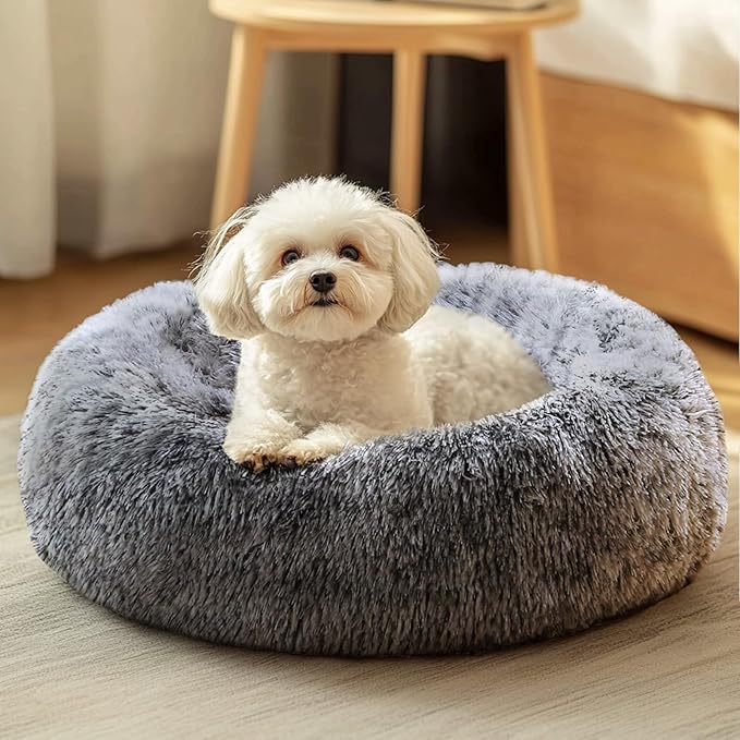 JOLLYVOGUE Dog & Cat Bed, Calming Anti-Anxiety Pet Bed for Small Dogs, Fluffy Donut Cushion for Small and Medium Pets (20")