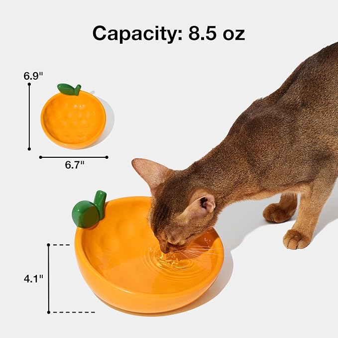 VETRESKA Ceramic Pet Bowl Tilted Design Pet Feeder for Food and Water Anti Vomit Cat Bowls for Indoor Cats Cute Tangerine Cat Bowl Dishwasher Safe