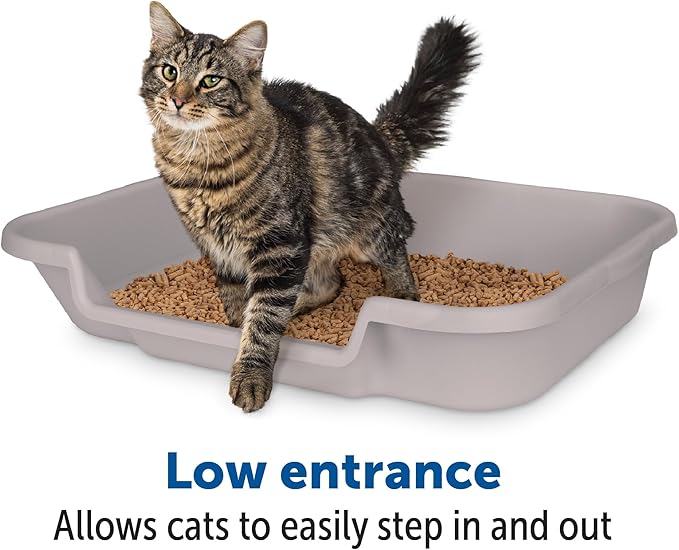 KittyGoHere Senior Cat Litter Box 2 Pack, Large Misty Gray Low Entrance Kitty Litter Box, Sized for Cats Comfort, Perfect for Senior and Arthritic Cats, Made in USA – Includes Long-Handle Jumbo Scoop