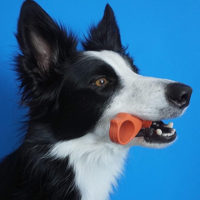 Pet Toothbrushing Assistant for Puppies' Dogs and Cats Allows You to Brush Your pet’s Teeth Without Constantly Worrying About Getting Bitten. (Orange, Medium)