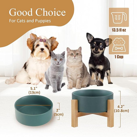 Raised Ceramic Cat Bowl - Cat Food Bowl with Bamboo Stand - Elevated Dog Food Dish for Puppies - Comfort Eating - 13.5 oz - 400 ml - Green