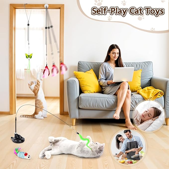 HONGDDY Cat Toys, 14Pcs 4 in 1 Indoor Adult Cat Interactive Toys, Hanging Door Kitten Wand with Suction Cup Removable Feathers Balls Mice Butterfly Streamers