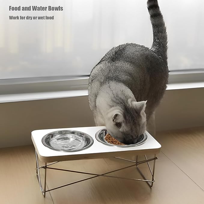 4 Pcs Stainless Steel Cat Bowls,5.5 Inches Metal Cat Bowl, Cat Food Bowls for Indoor Cats, Whisker Fatigue Cat Bowl, Shallow Cat Food Dish, Kitten Food Bowl, Elevated Food Bowls for Cats (5.5 inches)