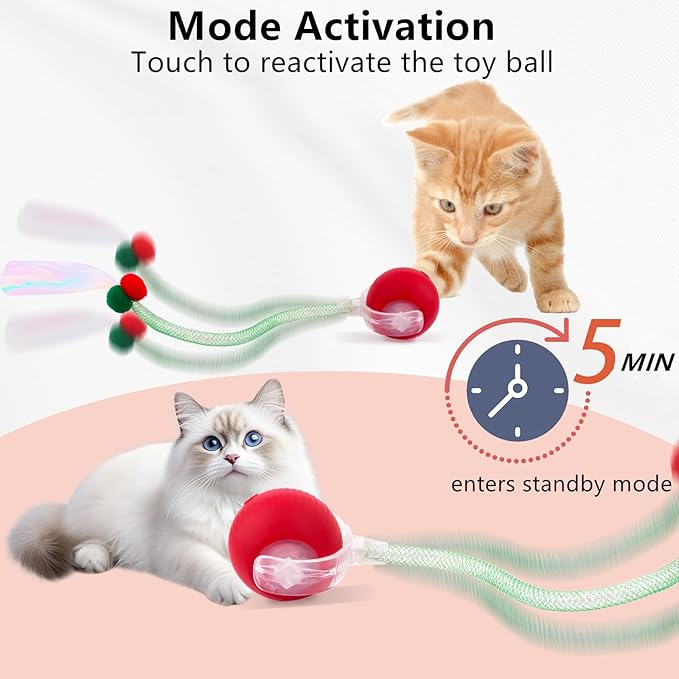 Interactive Cat Toy Balls, Automatic Rolling Cat Ball for Indoor Cats with Bird Chirping Sound & 3 Modes, Rechargeable USB Kitten Toys for Indoor Cats, 2 Fun Flexible Tails Stimulate Hunting Instincts