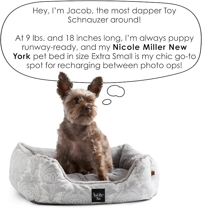 Nicole Miller New York PET Mod Damask Plushy Bolster Pet Bed, Cozy & Calming, Non-Slip Bottom, Machine Washable Cover, Grey, Extra Small 19"x15"x6"