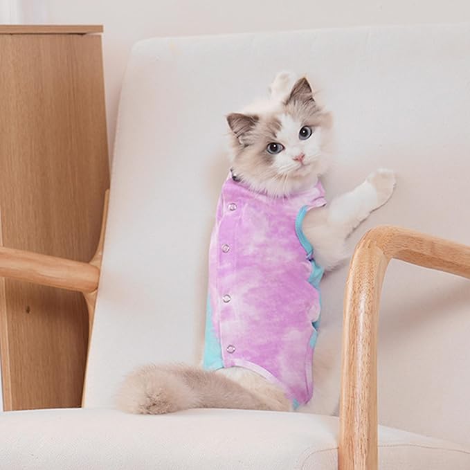PUMYPOREITY Cat Recovery Suit for Surgery and Skin Diseases - Alternative to Cone of Shame, Female Spay Surgical Suit, Purple, M