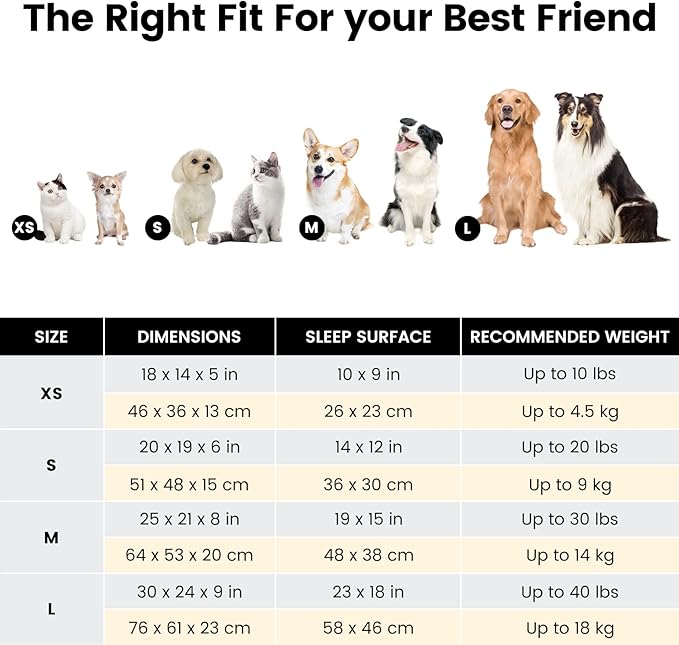 Miguel Washable Dog Bed for Medium Small Dogs, Calming Cuddle Cat Sofa Bed with High Sides, Rectangle Cat Beds for Indoor Cats Dog Bed with Anti-Slip Bottom, Blue 25 Inch