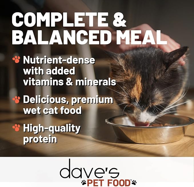 Dave's Pet Food Grain Free Wet Cat Food Pate (Turkey), Made in USA Naturally Healthy Canned, Added Vitamins & Minerals, Carrageenan-Free, 5.5 oz Cans (24 Pack)