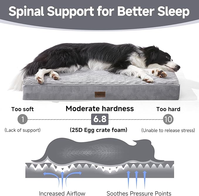 OhGeni Orthopedic Waterproof & Machine Washable Dog Bed for Medium Large Pets, Cat Mat with 25D Egg Crate Foam, Non-Slip Bottom & Removable Cover, Invisible Zipper, 36 Inches(Gray)