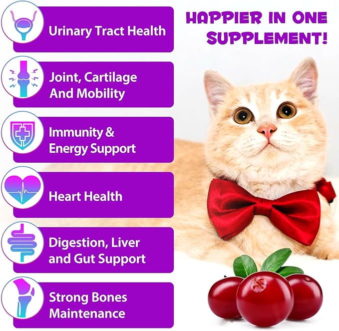 15-in-1 Multivitamin Drops for Cats - Immune Support, Skin & Coat Health, Digestion, Joint Care - with Vitamins A, B, C, D, E - Liquid Supplement for All Life Stages, 2 fl.oz/60ml, 2 Pack