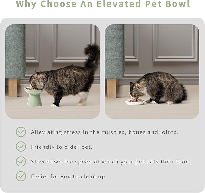 Extra Wide Elevated Ceramic Cat Bowl, 6.2" Shallow Dish for Whisker Fatigue Relief, 5" Height for Easy Feeding, Durable Raised Cat Food Bowls, Pack of 2, Sage Green