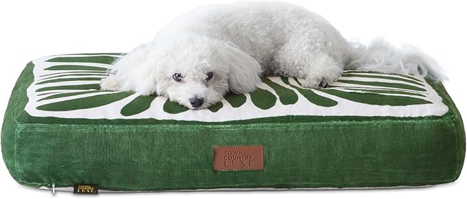 TOWN & COUNTRY LUXE CuddleTown Matisse Everwash® Pillow Pet Bed, Water Repellent Floor Pillow, Machine Washable Cover, Soft & Calming, Green, Small 28"x22"x4"