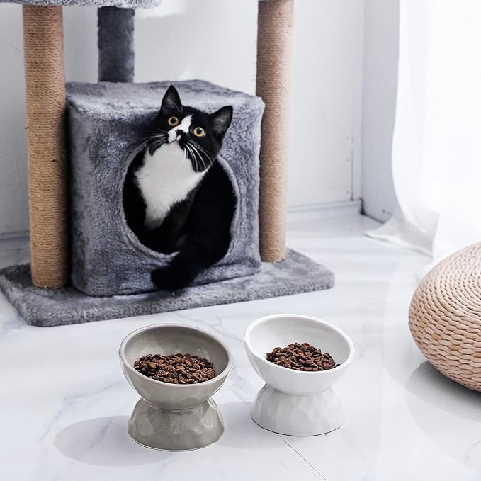 OMAYKEY Ceramic Raised Cat Bowls, Tilted Elevated Cat Food and Water Bowl Set, Porcelain Stress Free Pet Feeder Dish for Cats and Small Dogs, Dishwasher and Microwave Safe, White & Grey, Set of 2