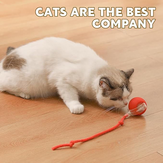 360° Smart Automatic Rolling Pet Ball - Interactive Dog & Cat Toy for Indoor Cats & Kittens (Grey)