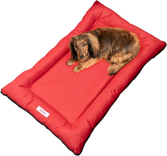 DBD3004A-L Archie 39" x 23" Traditional Oxford Waterproof Indoor/Outdoor Hand-Washable Memory Foam Camping Pet Bed, Strawberry